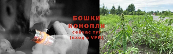 амф Верхний Тагил