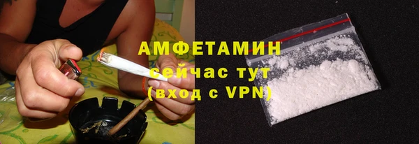 амф Верхний Тагил