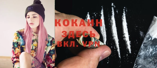 амф Верхний Тагил