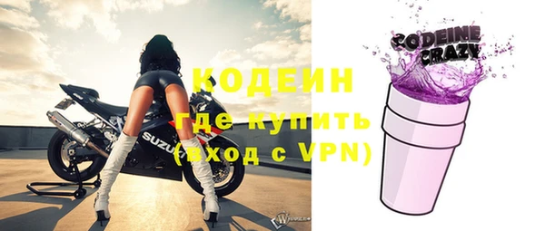 хмурый Верея
