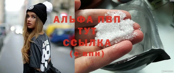 хмурый Верея
