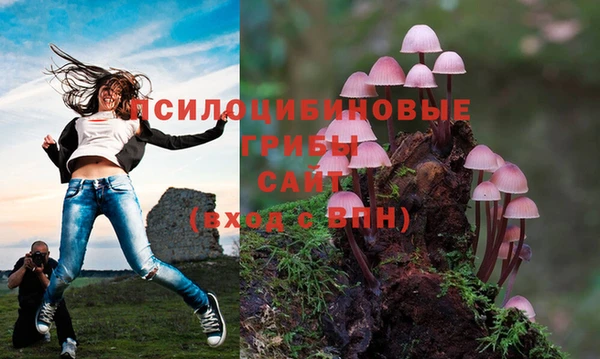 шишки Верхнеуральск