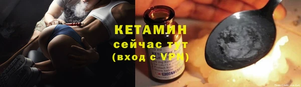 хмурый Верея