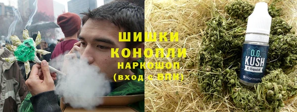 хмурый Верея