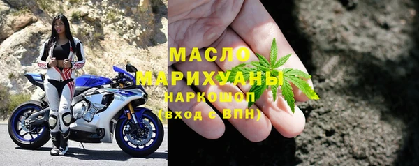 амф Верхний Тагил