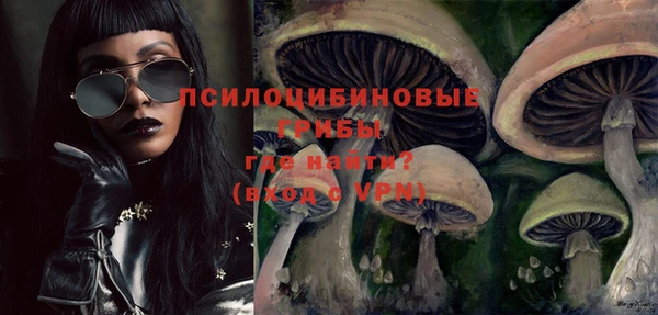 шишки Верхнеуральск