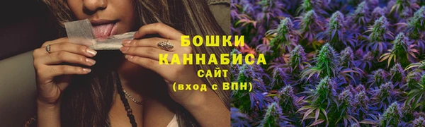 амф Верхний Тагил